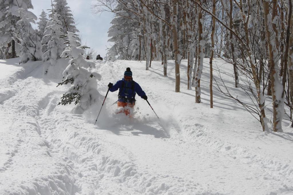 Hotel Aspen Shiga Yamanouchi  Exterior foto